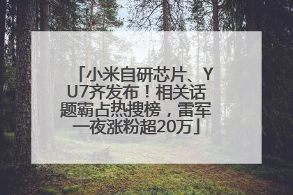 小米自研芯片、YU7齐发布！相关话题霸占热搜榜，雷军一夜涨粉超20万