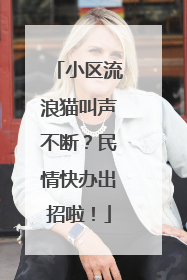 小区流浪猫叫声不断？民情快办出招啦！