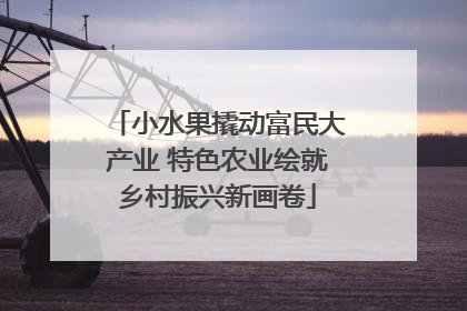 小水果撬动富民大产业 特色农业绘就乡村振兴新画卷