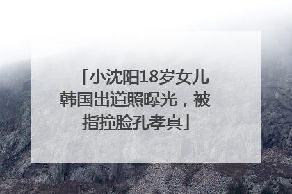 小沈阳18岁女儿韩国出道照曝光，被指撞脸孔孝真