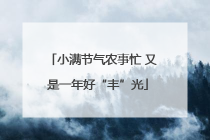 小满节气农事忙 又是一年好“丰”光