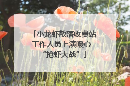 小龙虾散落收费站 工作人员上演暖心“抢虾大战”