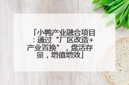 小鸭产业融合项目：通过“厂区改造+产业置换”，盘活存量，增值增效