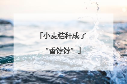 小麦秸秆成了“香饽饽”