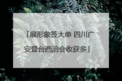 展形象签大单 四川广安登台西洽会收获多