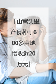 山窝头里产良种，600多亩地增收近20万元