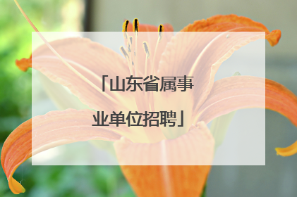 山东省属事业单位招聘