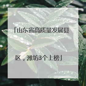 山东省高质量发展县区，潍坊3个上榜
