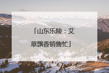 山东乐陵：艾草飘香销售忙