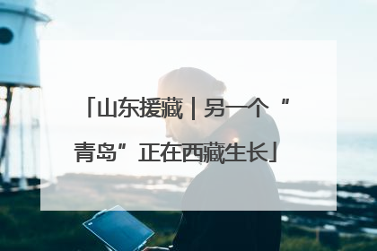 山东援藏｜另一个“青岛”正在西藏生长