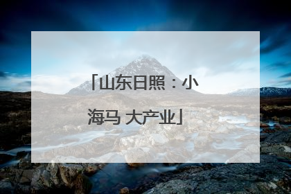 山东日照：小海马 大产业