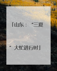 山东：“三夏”大忙进行时