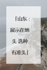 山东：展示在地头 选种有准头