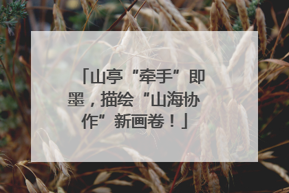 山亭“牵手”即墨，描绘“山海协作”新画卷！