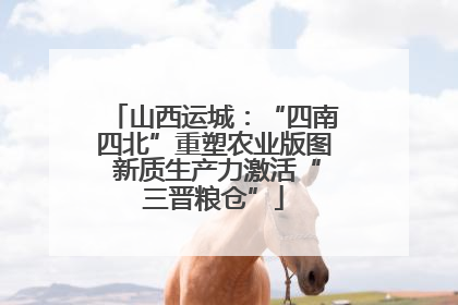 山西运城：“四南四北”重塑农业版图 新质生产力激活“三晋粮仓”