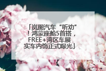 岚图汽车“听劝”！鸿蒙座舱5首搭，FREE+湾区车展实车内饰正式曝光