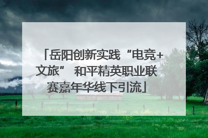 岳阳创新实践“电竞+文旅” 和平精英职业联赛嘉年华线下引流