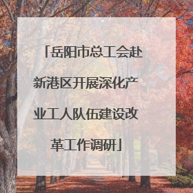 岳阳市总工会赴新港区开展深化产业工人队伍建设改革工作调研