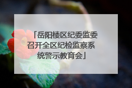 岳阳楼区纪委监委召开全区纪检监察系统警示教育会
