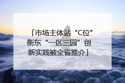 市场主体站“C位” 衡东“一区三园”创新实践被全省推介
