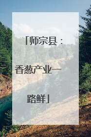 师宗县：香葱产业一路鲜