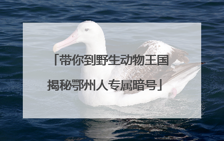 带你到野生动物王国揭秘鄂州人专属暗号