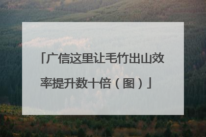 广信这里让毛竹出山效率提升数十倍（图）