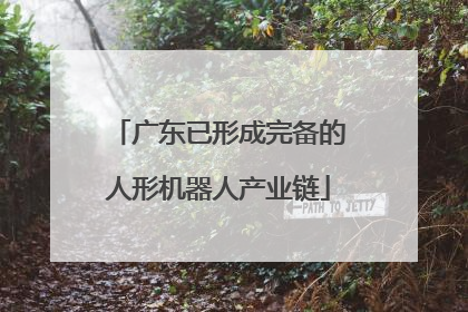 广东已形成完备的人形机器人产业链