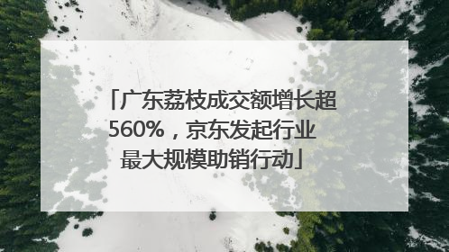 广东荔枝成交额增长超560%，京东发起行业最大规模助销行动