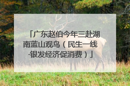 广东赵伯今年三赴湖南蓝山观鸟（民生一线·银发经济促消费）
