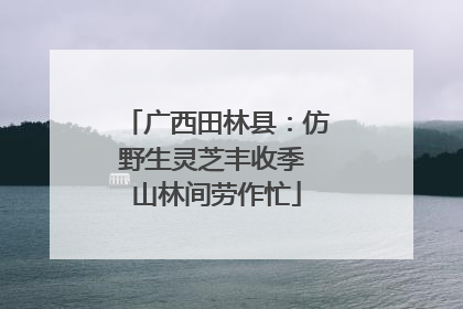 广西田林县：仿野生灵芝丰收季 山林间劳作忙