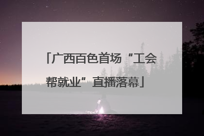 广西百色首场“工会帮就业”直播落幕