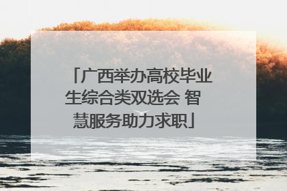 广西举办高校毕业生综合类双选会 智慧服务助力求职