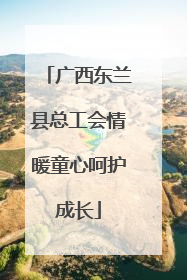 广西东兰县总工会情暖童心呵护成长