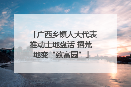 广西乡镇人大代表推动土地盘活 撂荒地变“致富园”