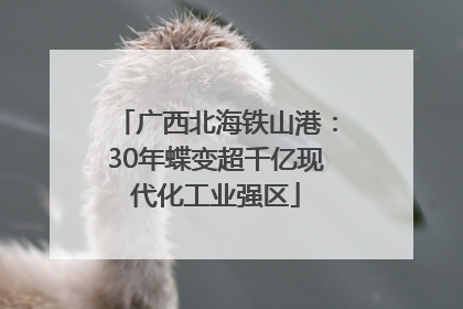 广西北海铁山港：30年蝶变超千亿现代化工业强区