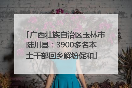 广西壮族自治区玉林市陆川县：3900多名本土干部回乡解纷促和
