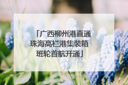 广西柳州港直通珠海高栏港集装箱班轮首航开通