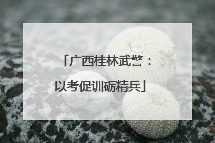 广西桂林武警：以考促训砺精兵