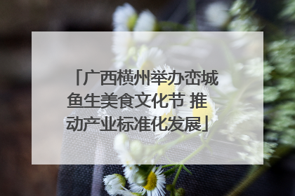 广西横州举办峦城鱼生美食文化节 推动产业标准化发展
