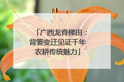 广西龙脊梯田：背篓变迁见证千年农耕传统魅力