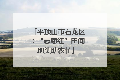 平顶山市石龙区：“志愿红”田间地头助农忙