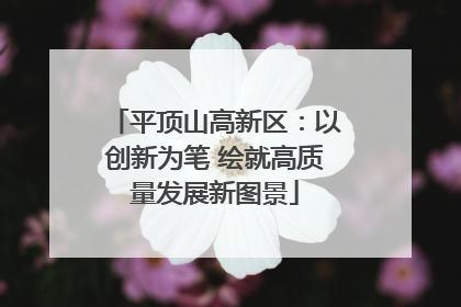 平顶山高新区：以创新为笔 绘就高质量发展新图景