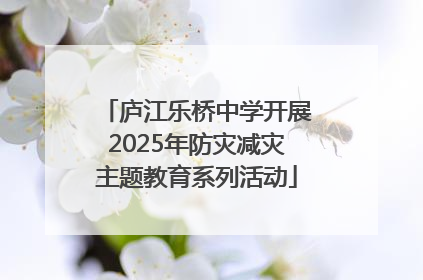 庐江乐桥中学开展2025年防灾减灾主题教育系列活动