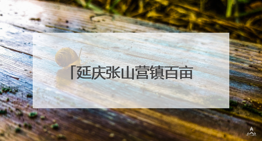 延庆张山营镇百亩网红稻田启动插秧