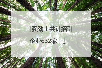 强劲！共计招引企业632家！