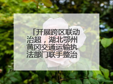 开展跨区联动治超，湖北鄂州黄冈交通运输执法部门联手整治“百吨王”