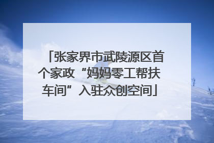 张家界市武陵源区首个家政“妈妈零工帮扶车间”入驻众创空间