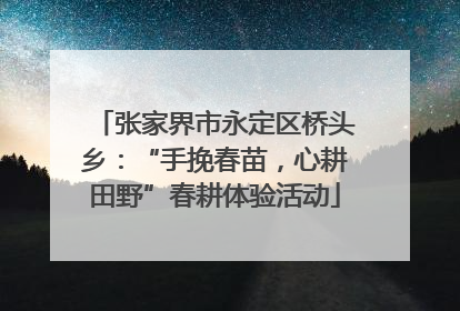 张家界市永定区桥头乡：“手挽春苗，心耕田野”春耕体验活动