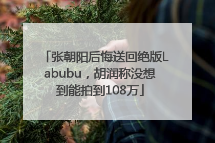 张朝阳后悔送回绝版Labubu，胡润称没想到能拍到108万